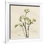 Parsley Moment-Albert Koetsier-Framed Art Print