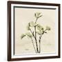 Parsley Moment-Albert Koetsier-Framed Art Print