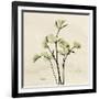 Parsley Moment-Albert Koetsier-Framed Art Print