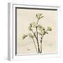 Parsley Moment-Albert Koetsier-Framed Art Print