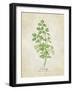 Parsley Vintage-Rosana Laiz Blursbyai-Framed Photographic Print