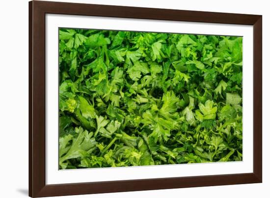 Parsley-Steve Gadomski-Framed Photographic Print