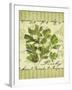 Parsley-Kate Ward Thacker-Framed Giclee Print