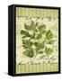 Parsley-Kate Ward Thacker-Framed Stretched Canvas