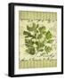 Parsley-Kate Ward Thacker-Framed Giclee Print