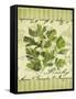 Parsley-Kate Ward Thacker-Framed Stretched Canvas