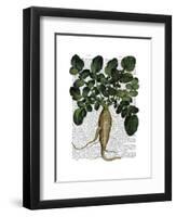 Parsnip 1-Fab Funky-Framed Art Print