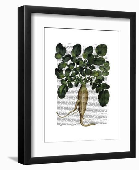 Parsnip 1-Fab Funky-Framed Art Print