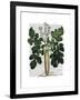 Parsnip 2-Fab Funky-Framed Art Print