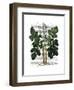 Parsnip 2-Fab Funky-Framed Art Print