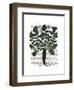 Parsnip 4-Fab Funky-Framed Art Print