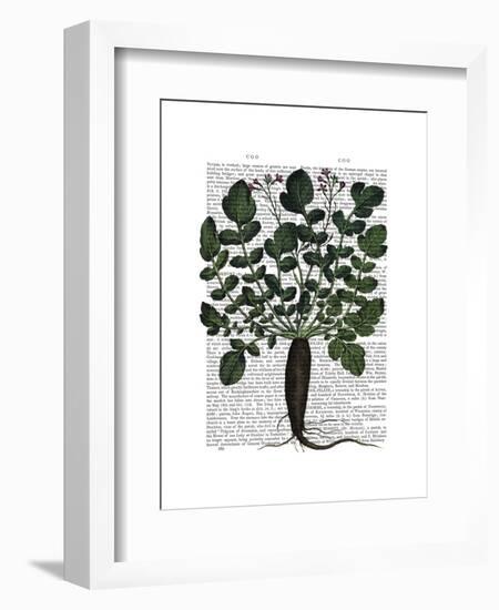 Parsnip 4-Fab Funky-Framed Art Print