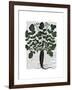 Parsnip 4-Fab Funky-Framed Art Print