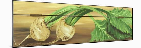 Parsnip on a box-Gigi Begin-Mounted Giclee Print