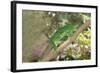 Parson's Chameleon (Calumma Parsonii), Madagascar, Africa-G &-Framed Photographic Print