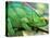 Parson's Chameleon, La Madraka Farm, Madagascar-Pete Oxford-Stretched Canvas