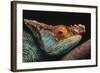 Parson's Chameleon on Branch-DLILLC-Framed Photographic Print