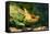 Parson's Chameleon Walking across Log-null-Framed Stretched Canvas