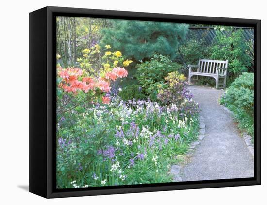 Parsons Gardens Park on Queen Anne Hill, Seattle, Washington, USA-null-Framed Stretched Canvas