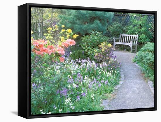 Parsons Gardens Park on Queen Anne Hill, Seattle, Washington, USA-null-Framed Stretched Canvas