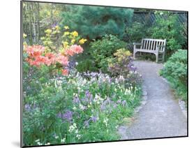 Parsons Gardens Park on Queen Anne Hill, Seattle, Washington, USA-null-Mounted Photographic Print