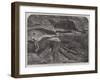 Part of a Fossil Tree Found in a Quarry at Coalbrookdale-null-Framed Giclee Print