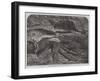 Part of a Fossil Tree Found in a Quarry at Coalbrookdale-null-Framed Giclee Print