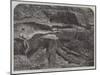 Part of a Fossil Tree Found in a Quarry at Coalbrookdale-null-Mounted Giclee Print