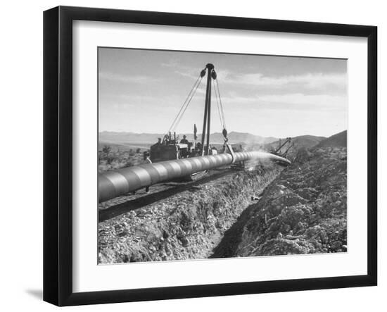 Photographic Print, , large