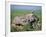 Part of Nourlangie Rock, Kakadu National Park, Northern Territory-Robert Francis-Framed Photographic Print