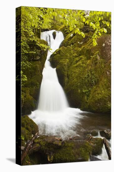 Part of Stock Ghyll Force Waterfall Near Ambleside-Julian Elliott-Stretched Canvas
