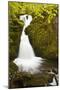 Part of Stock Ghyll Force Waterfall Near Ambleside-Julian Elliott-Mounted Photographic Print