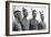 Part of the American Gold Medal-Winning Rowing Eight, Berlin Olympics, 1936-null-Framed Giclee Print