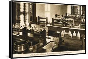 Part of the Chemistry Laboratory at the Victoria College, Alexandria, Egypt-null-Framed Stretched Canvas