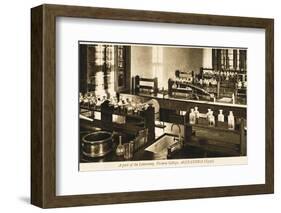 Part of the Chemistry Laboratory at the Victoria College, Alexandria, Egypt-null-Framed Photographic Print