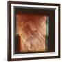 Part of the Grand Canyon, Marineris Vallis, on Mars, 1976-null-Framed Giclee Print