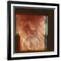 Part of the Grand Canyon, Marineris Vallis, on Mars, 1976-null-Framed Giclee Print