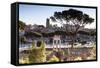 Part of the Imperial Forum (Foro Imperiali), Rome, Lazio, Italy, Europe-Julian Elliott-Framed Stretched Canvas