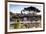 Part of the Imperial Forum (Foro Imperiali), Rome, Lazio, Italy, Europe-Julian Elliott-Framed Photographic Print