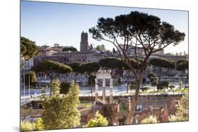 Part of the Imperial Forum (Foro Imperiali), Rome, Lazio, Italy, Europe-Julian Elliott-Mounted Photographic Print