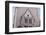 Part of the Logis Pince in Angers, Maine-Et-Loire, France, Europe-Julian Elliott-Framed Photographic Print