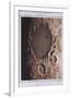 Part of the Lunar Surface, 1857-null-Framed Giclee Print