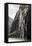 Part of the Seven Sisters waterfall, Geiranger Fjord, More og Romsdal-Tony Waltham-Framed Stretched Canvas