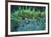 Parterre de fleurs, 2003-Michel Bultet-Framed Giclee Print