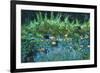 Parterre de fleurs, 2003-Michel Bultet-Framed Giclee Print