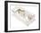 Parthenon, Athens-Fernando Aznar Cenamor-Framed Giclee Print