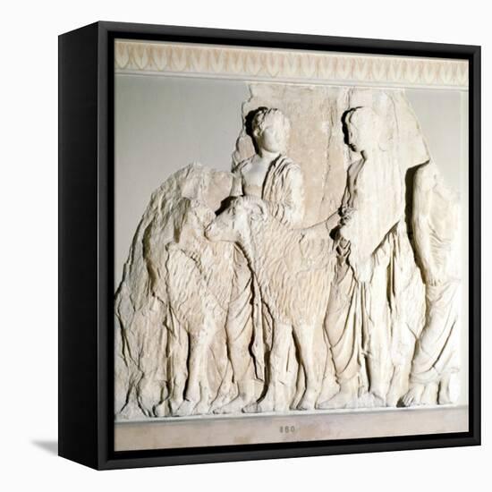 Parthenon Frieze, Elgin Marbles, Sacrifice Procession with Ram, c5th century BC-Phidias-Framed Stretched Canvas