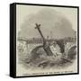 Partial Destruction of the Bridge of the Elbe-null-Framed Stretched Canvas