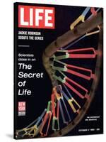 Partial DNA Helix Model, Advances in Gene Research, October 4, 1963-Fritz Goro-Stretched Canvas