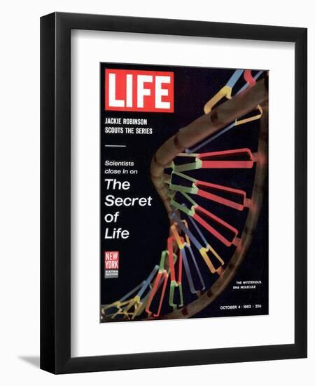 Partial DNA Helix Model, Advances in Gene Research, October 4, 1963-Fritz Goro-Framed Photographic Print